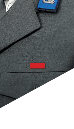 Medaille van het Nederlandsche Roode Kruis (Regeringsmedaille)