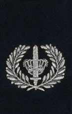 Groepscommandant LBB