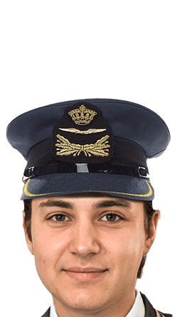 Pet majoor tot luitenant-kolonel