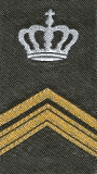 Sergeant 1-instructeur