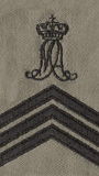 Cadet-sergeant