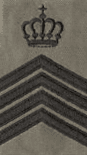 Sergeant-majoor instructeur