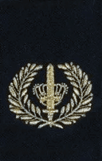 Brigadier